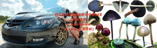 сатива Алексин