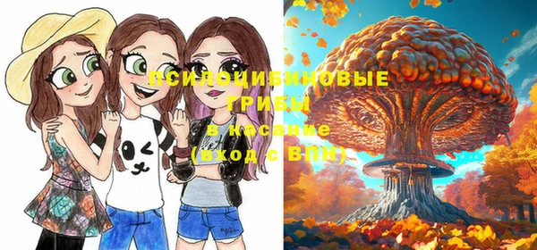 ПСИЛОЦИБИНОВЫЕ ГРИБЫ Алексеевка