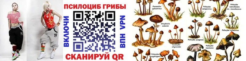 Галлюциногенные грибы Psilocybe блэк спрут вход Канаш наркота